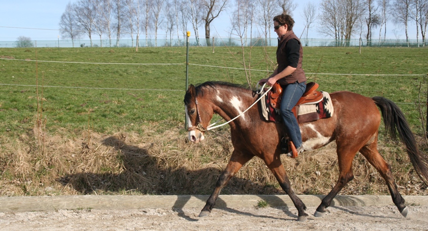 Richtig reiten lernt man erst mit dem eigenen Pferd