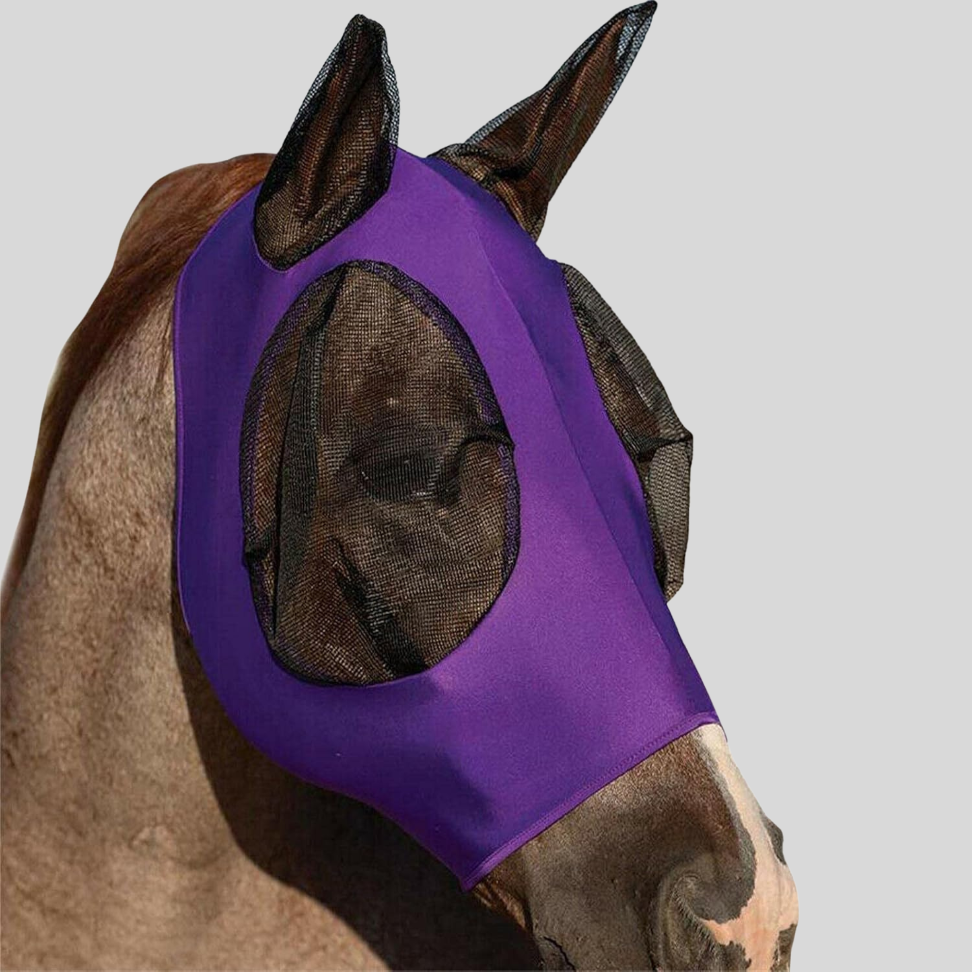 Professional's Choice Comfort Fit Lycra Fliegenmaske für Pferde mit Mesh-Einsätzen an Augen und Ohren in der Farbe Purple ohne Schopfaussparung